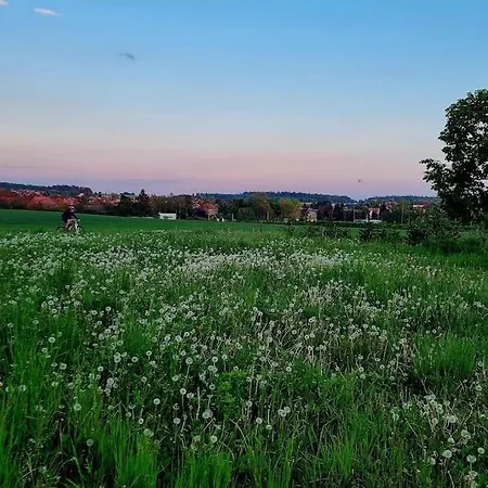 Beautiful House In Nature Kladno